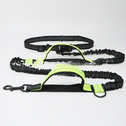 Multi-Function Pet Lead
