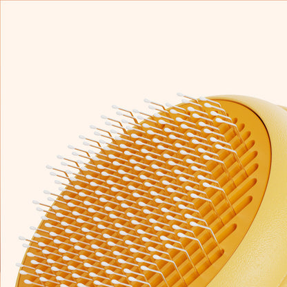 Pet Hair Brush with Self-Cleaning Mechanism
