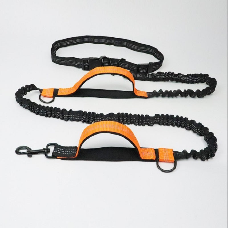 All-in-One Dog Traction Rope
