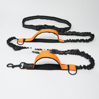 Pet Control and Traction Leash
