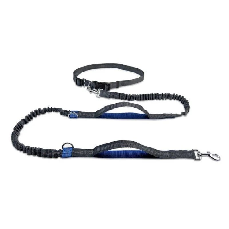 Versatile Pet Leash