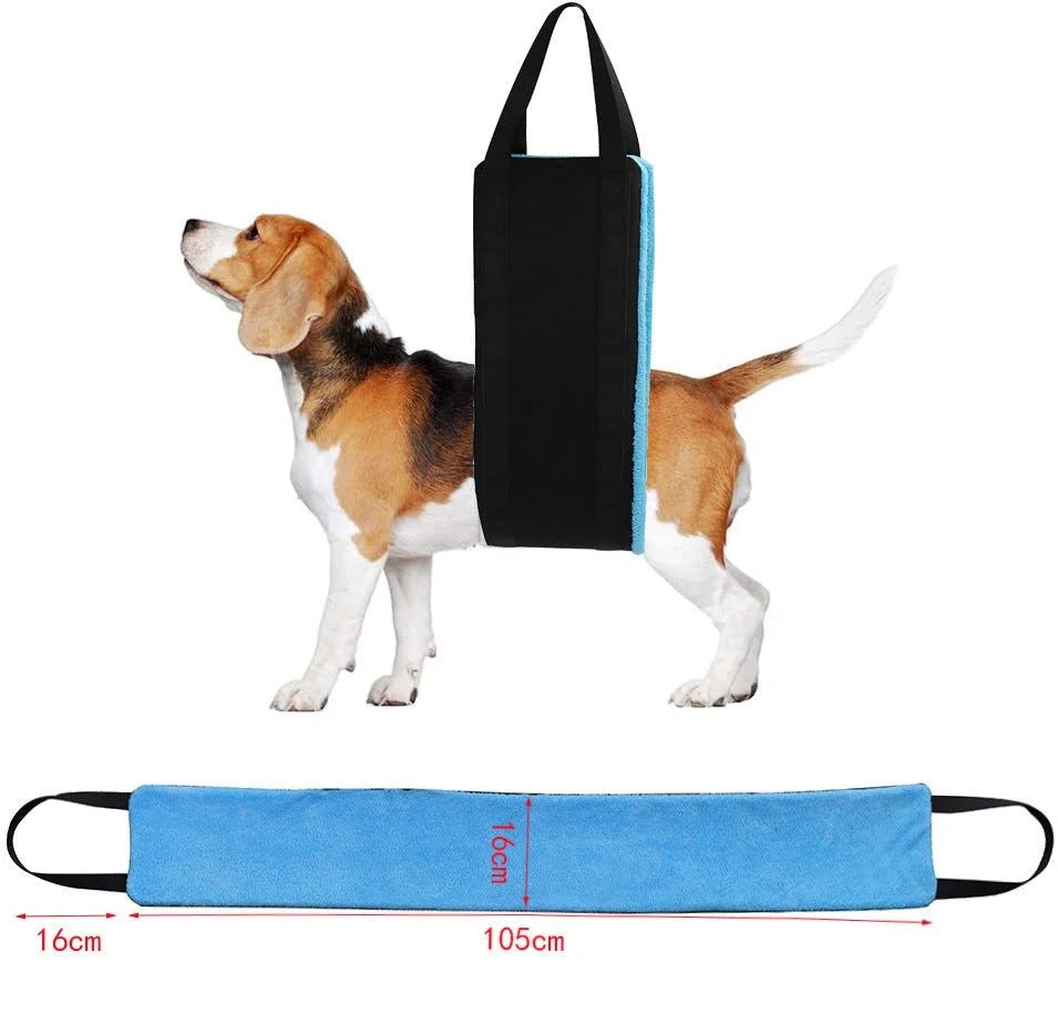 Pet Power Assist Belt
